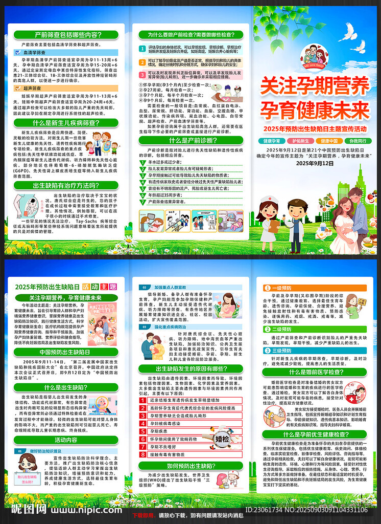 2025預(yù)防出生缺陷日三折頁