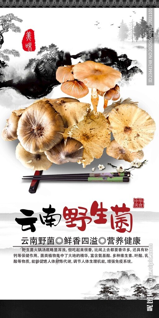 云南野生菌海報(bào)
