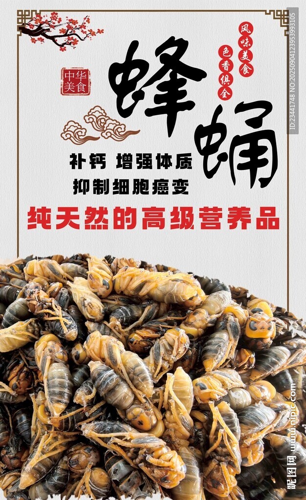 蜂蛹