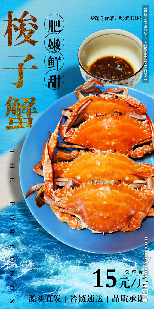 梭子蟹 