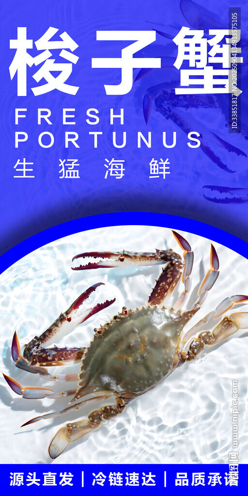 梭子蟹 