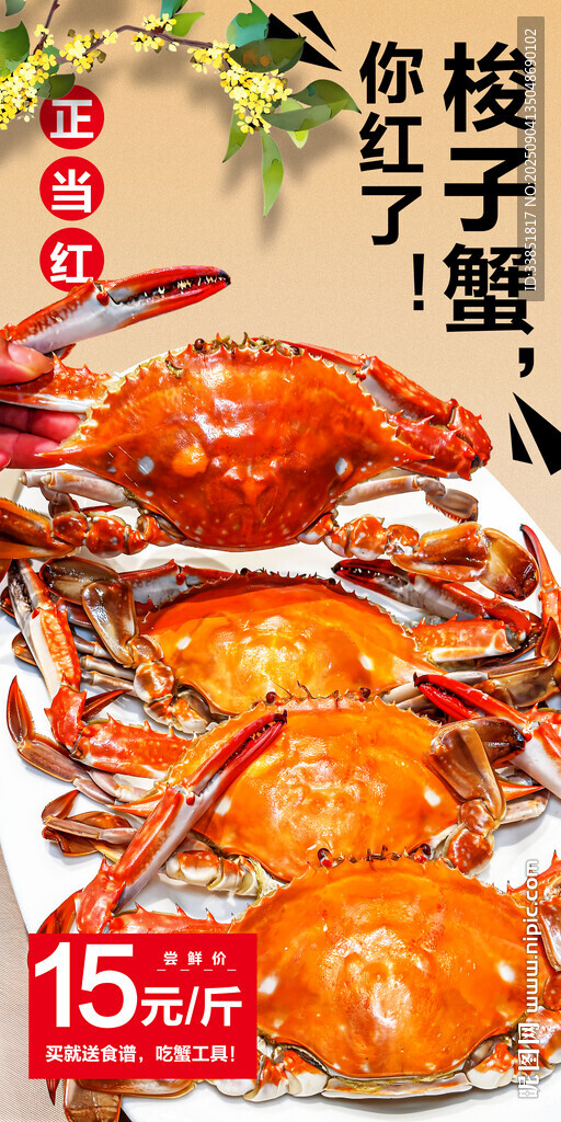 梭子蟹