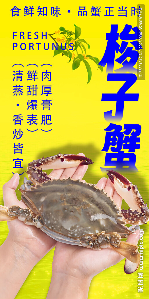 梭子蟹 