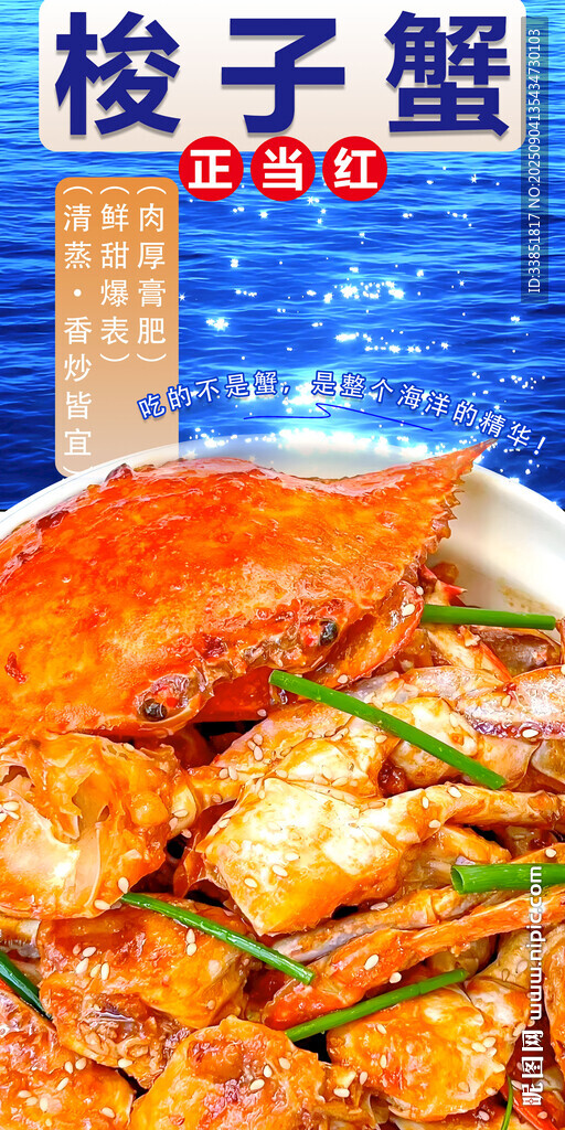 梭子蟹 