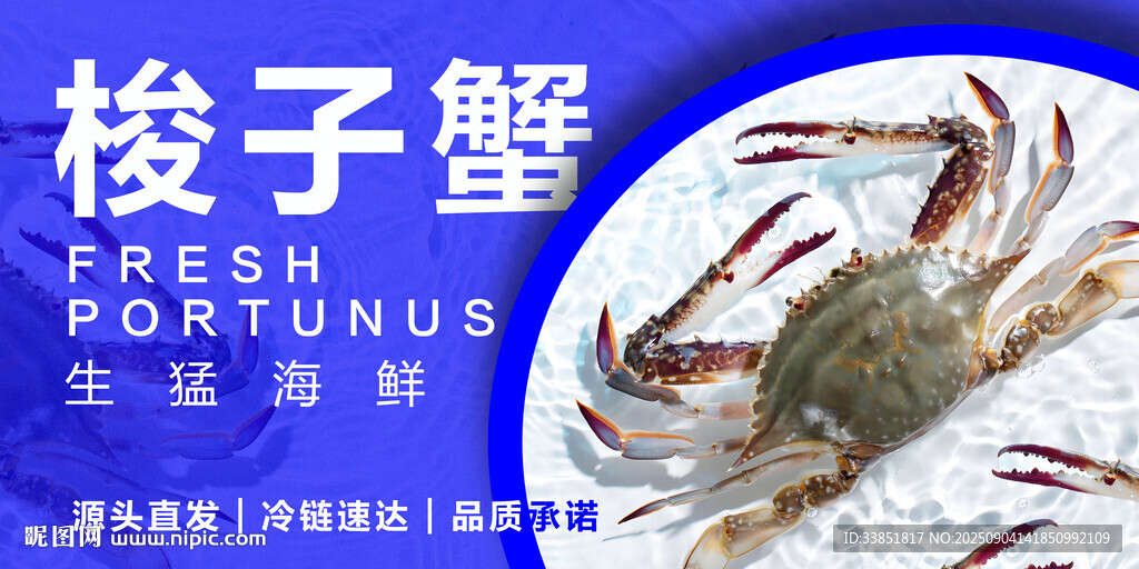 梭子蟹