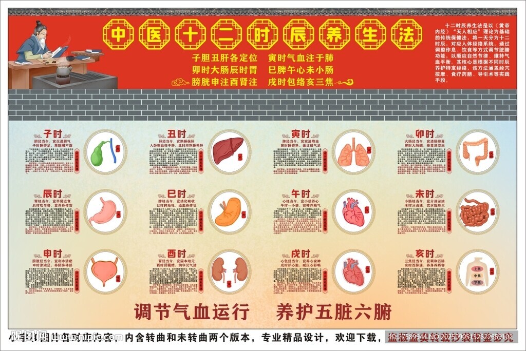 中醫(yī)經(jīng)絡(luò)十二時辰養(yǎng)生法海報展板