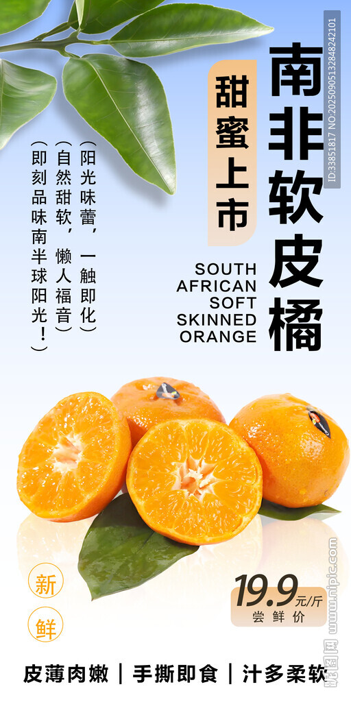 南非軟皮橘 