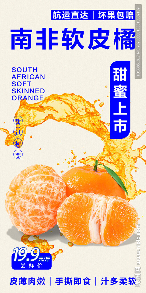南非軟皮橘 