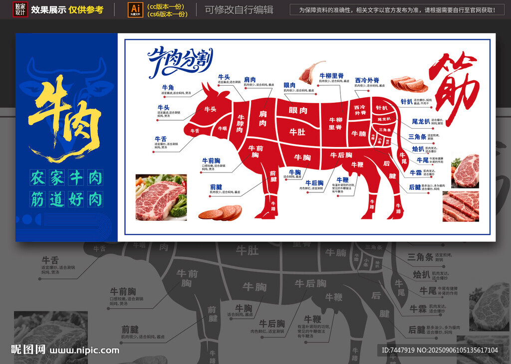 牛肉分解 肉分割圖