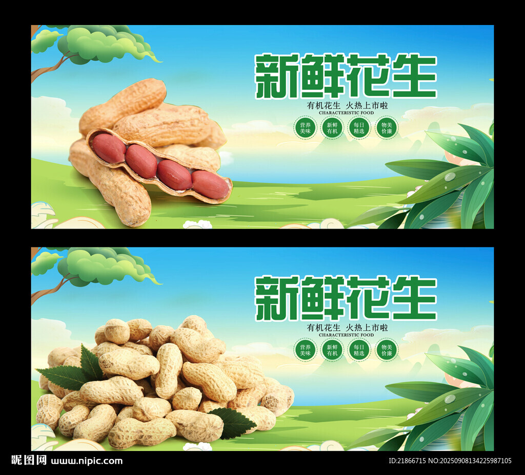 花生