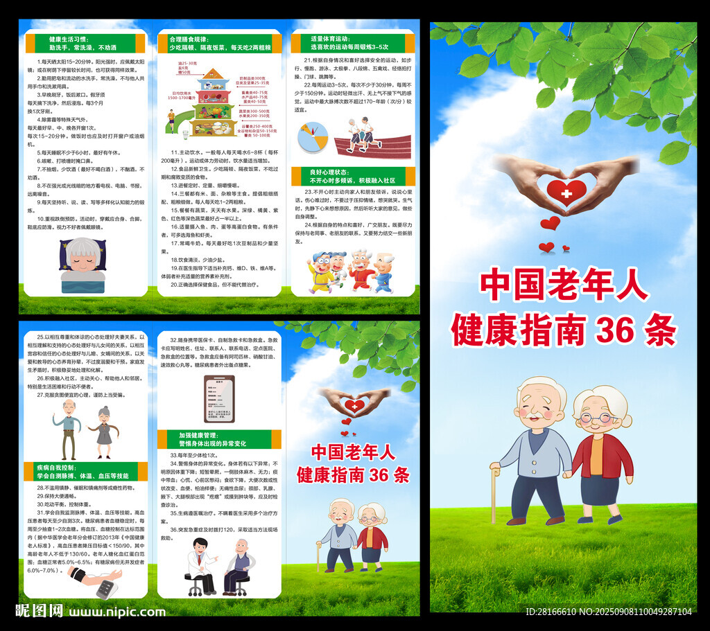 老年人健康指南三折頁
