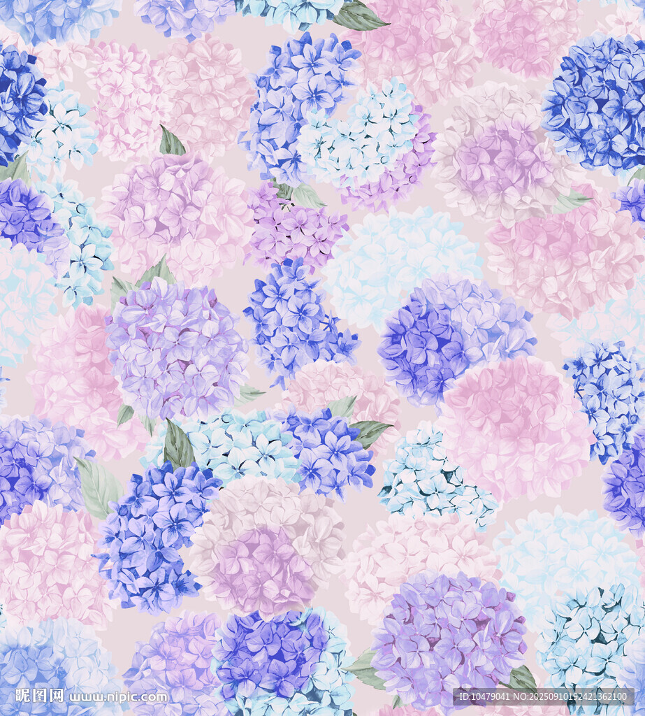 繡球花