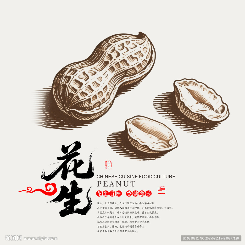 花生插畫