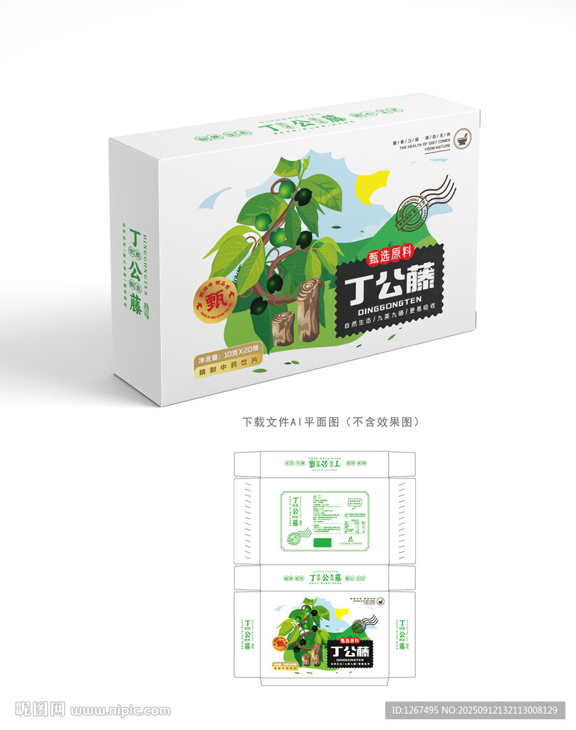 丁公藤中藥