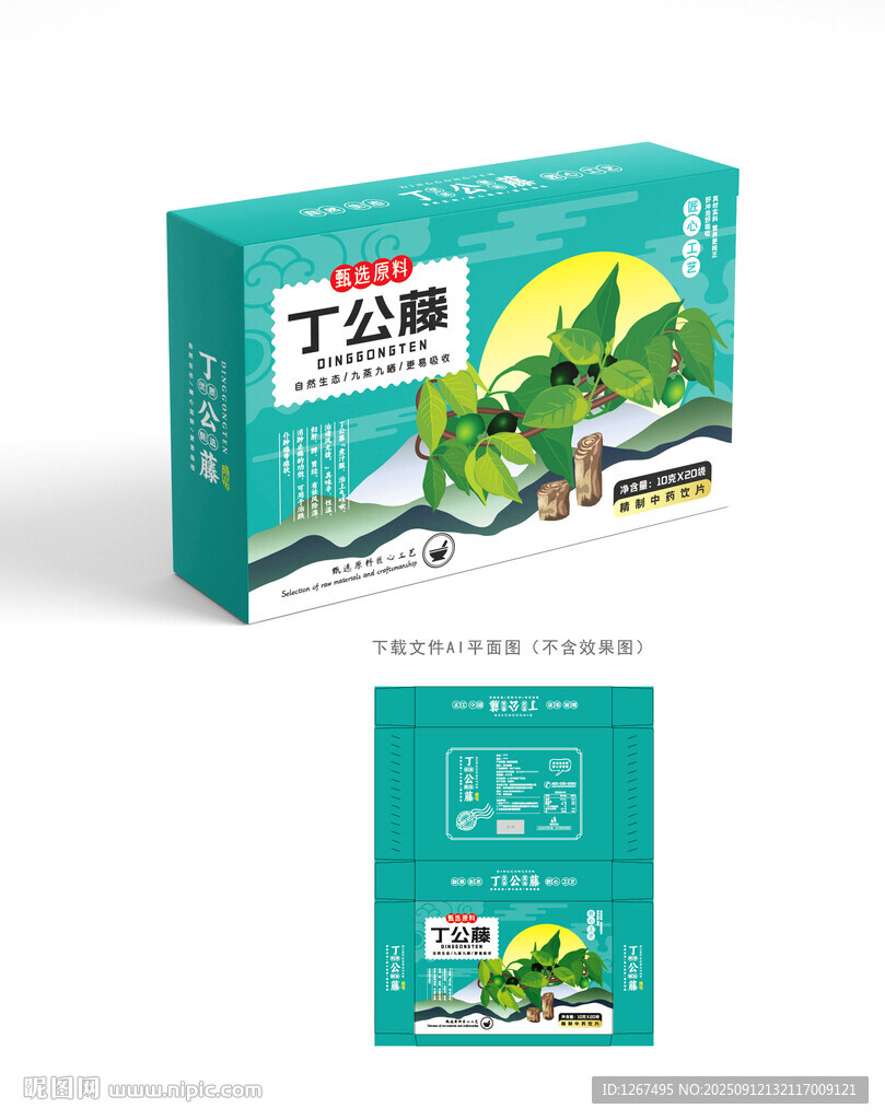 丁公藤設(shè)計