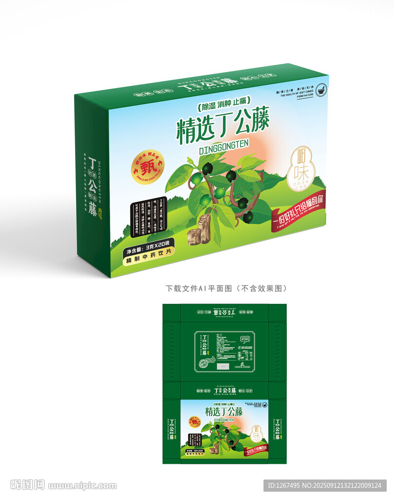 丁公藤設(shè)計(jì)