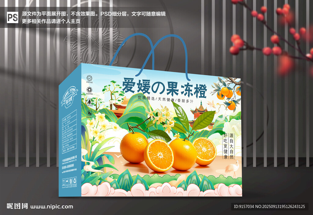 愛媛包裝 果凍橙禮盒