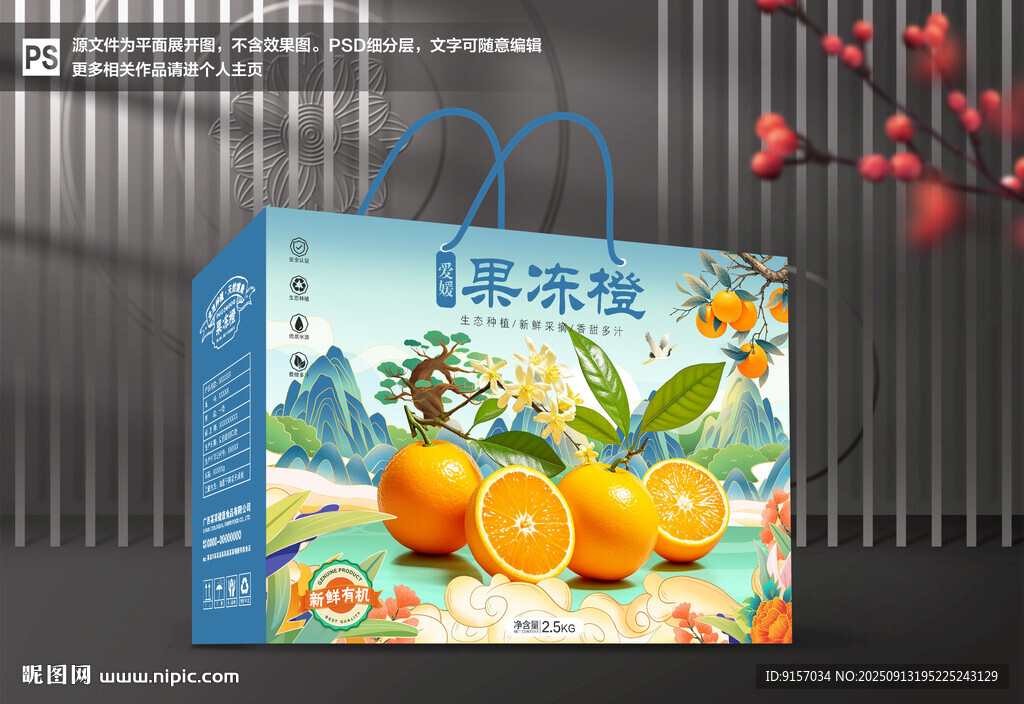 愛媛果凍橙包裝禮盒