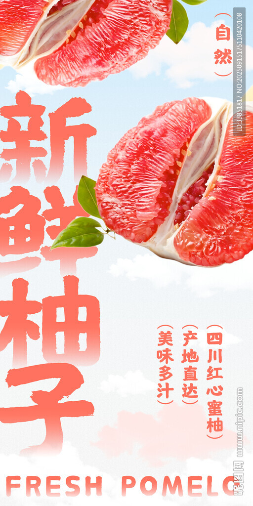  新鮮柚子