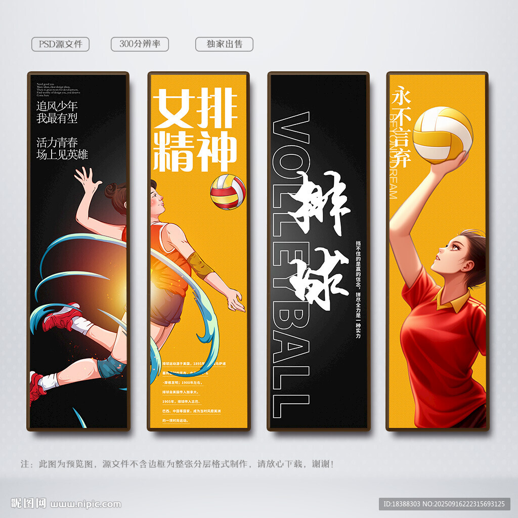 排球