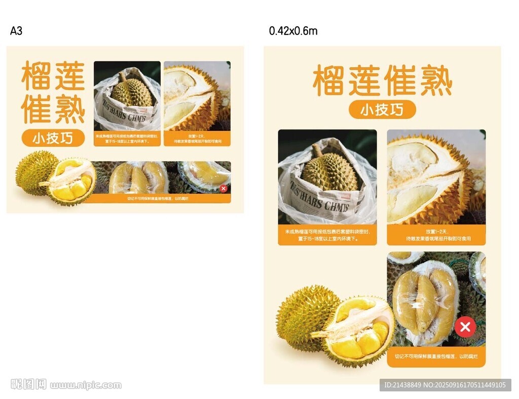 榴蓮成熟過程展示