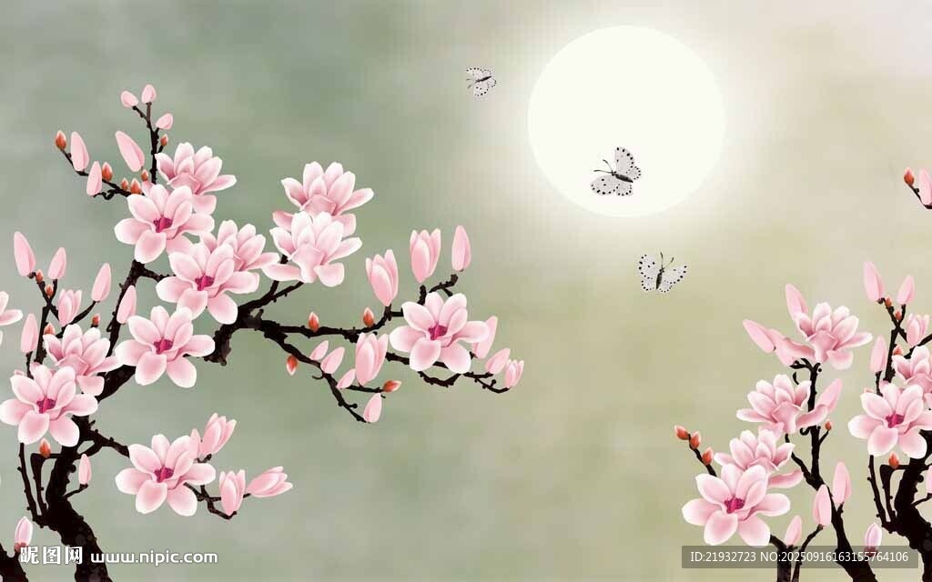 玉蘭花
