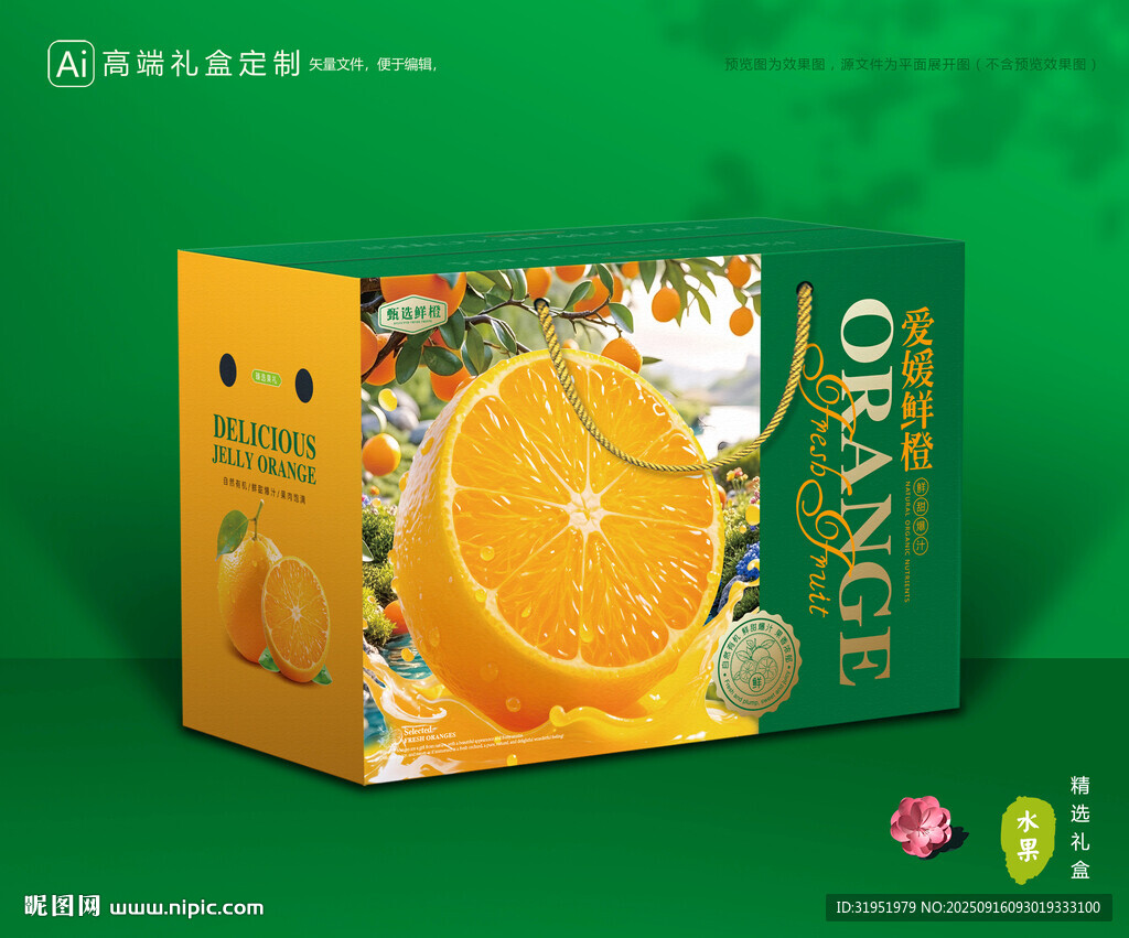 愛媛包裝 果凍橙禮盒