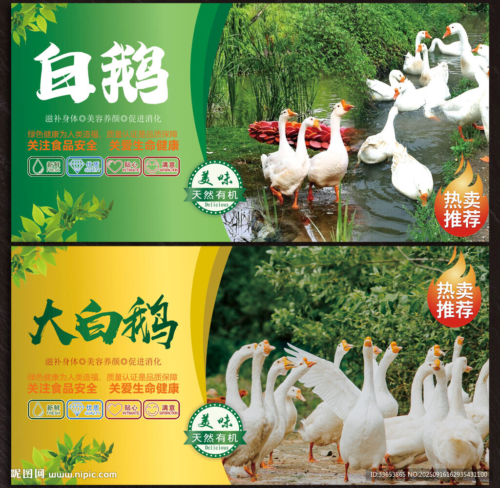 鵝