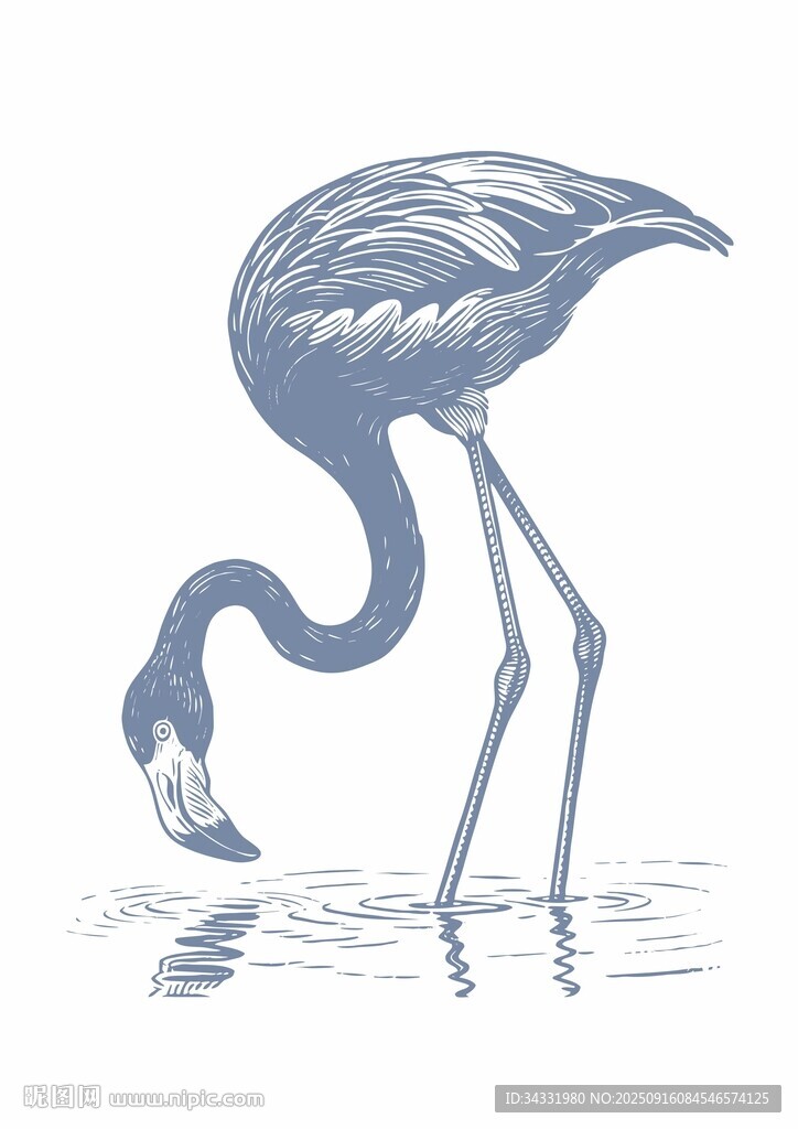 火烈鳥