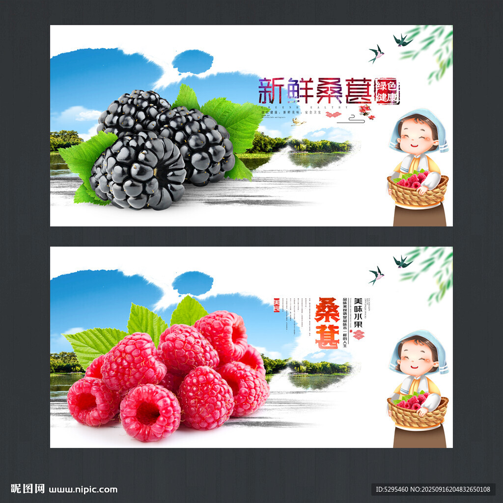 桑葚