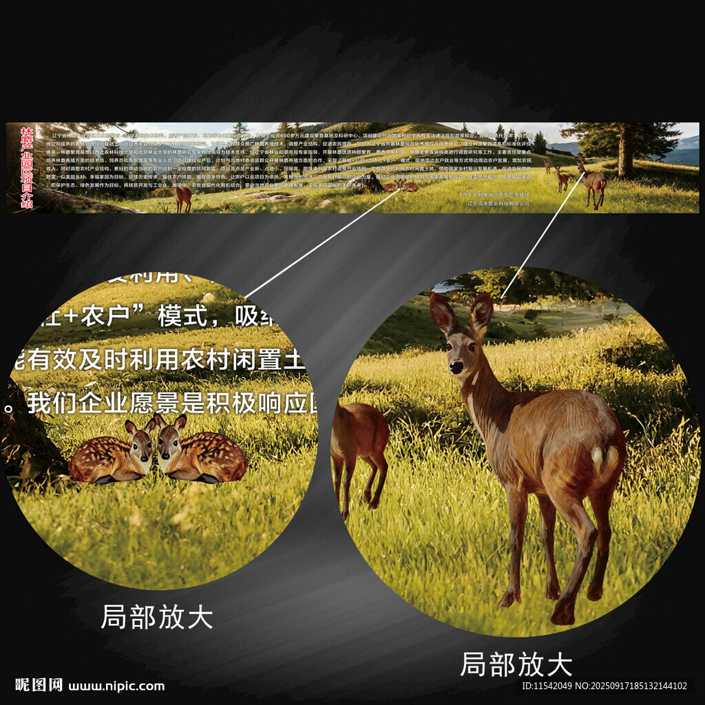 麝 林麝項(xiàng)目介紹
