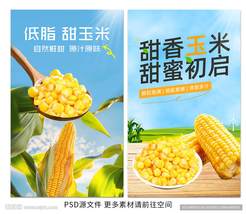 玉米