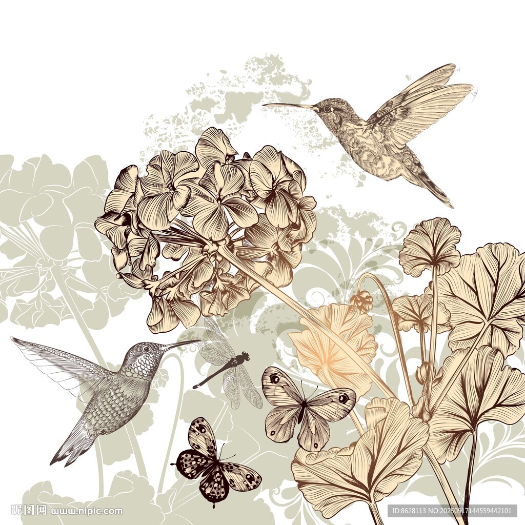 蜂鳥蝴蝶與花卉插畫