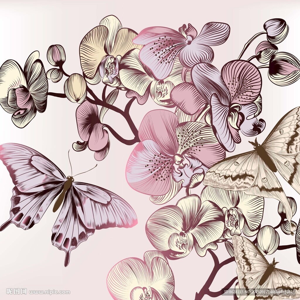 蝴蝶蘭花夢幻插畫