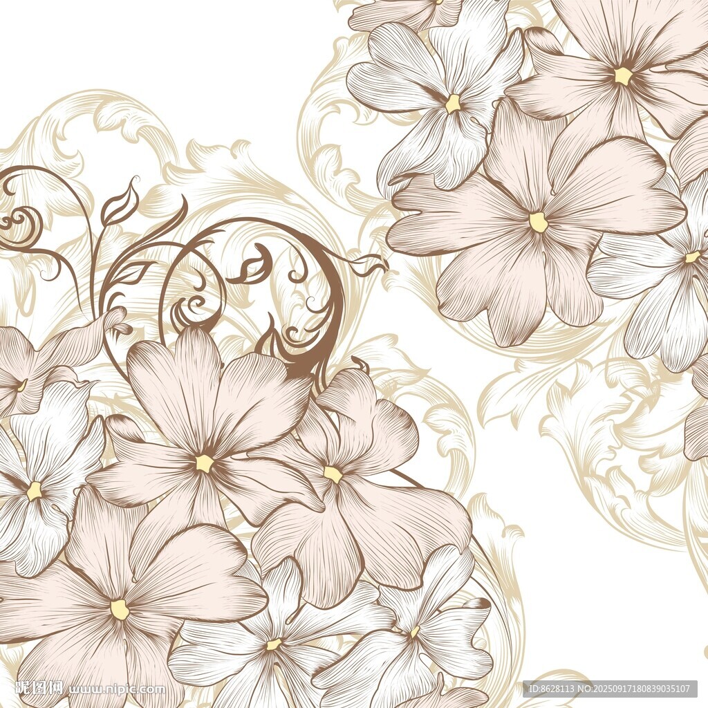 優(yōu)雅花卉裝飾圖案