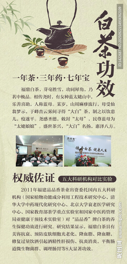白茶功效介紹宣傳頁