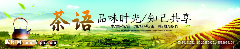 茶園風(fēng)光品味自然之韻