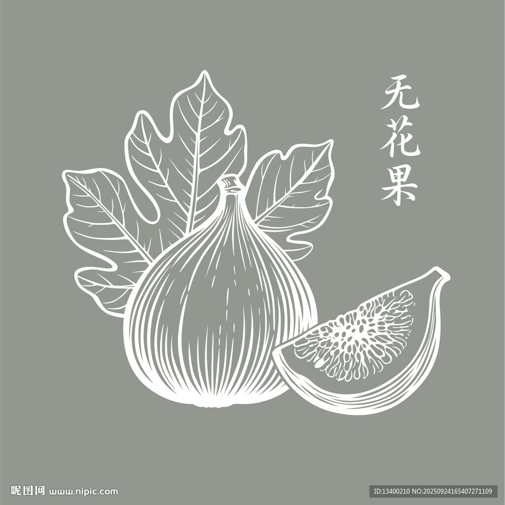手繪無花果圖案設(shè)計(jì)