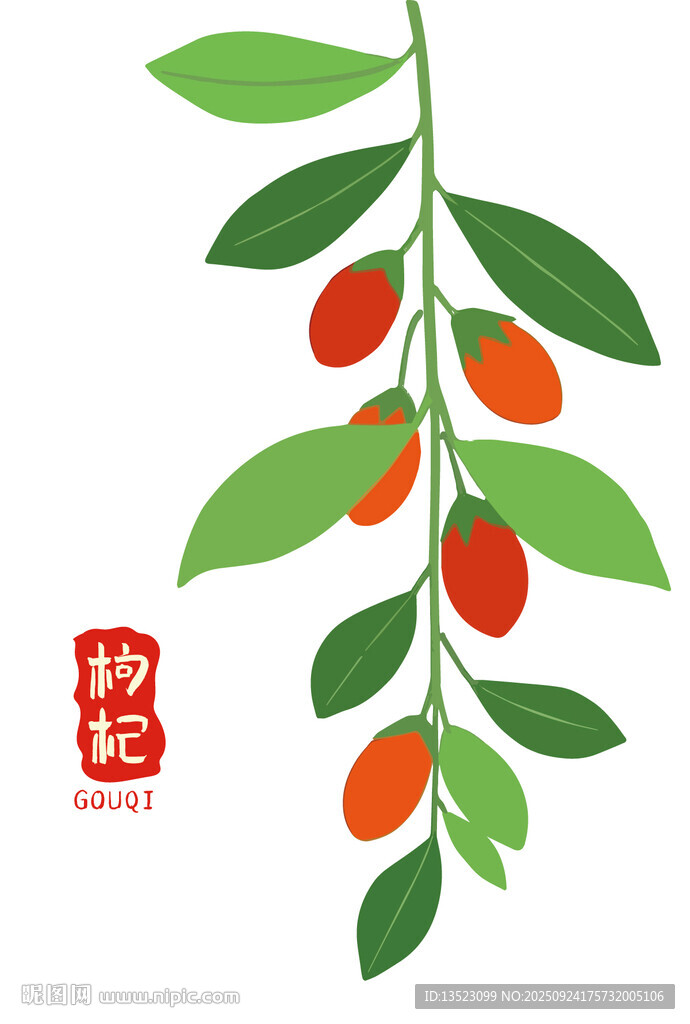 枸杞枝葉圖案包裝中藥材海報(bào)