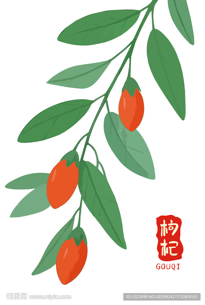 枸杞枝葉圖案包裝中藥材海報(bào)