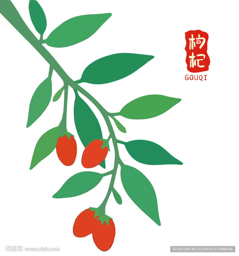 枸杞枝上紅果綠葉中藥養(yǎng)生茶飲