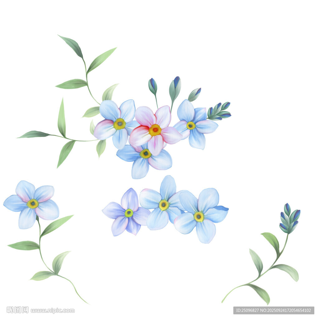 手繪花朵