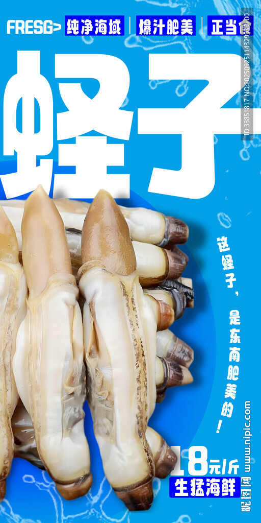  蟶子
