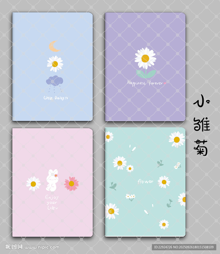小雛菊