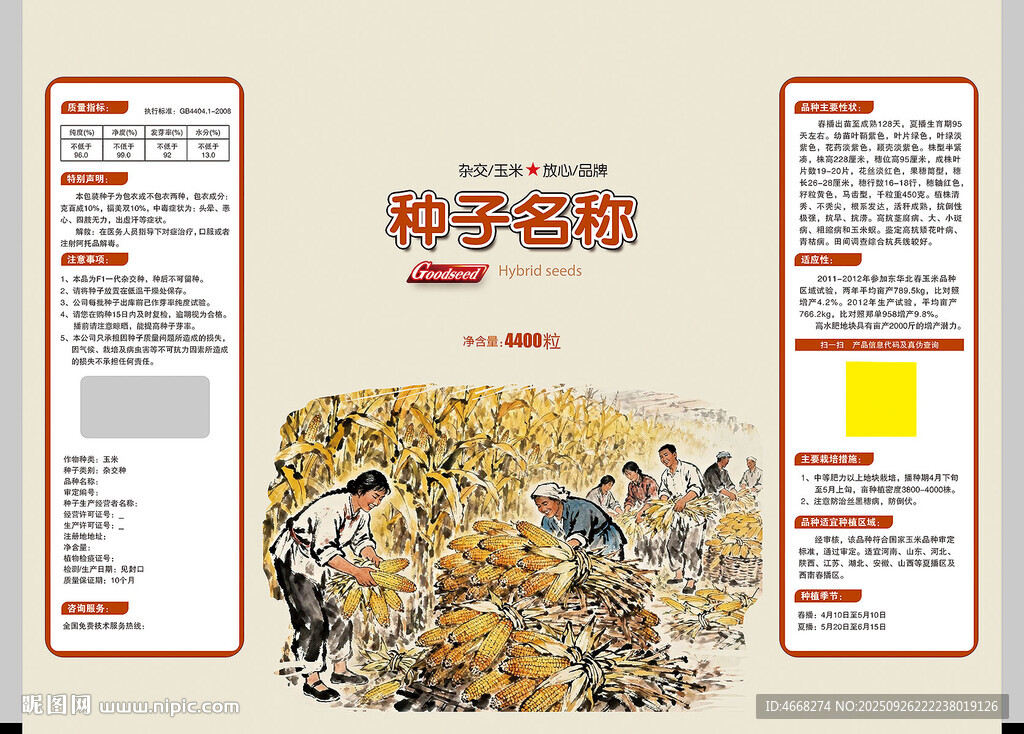 玉米種子