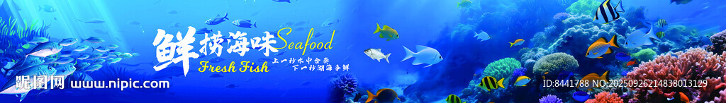 夢幻海底世界景觀