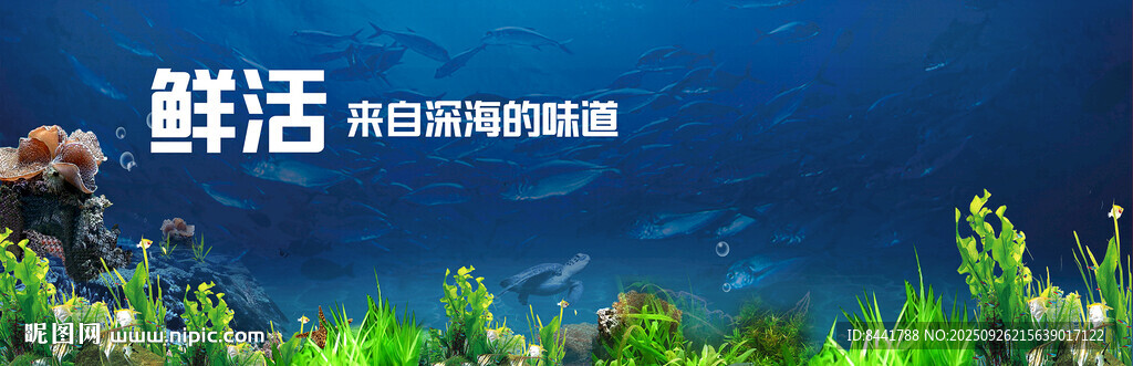 水下鮮活景象 探索新視界