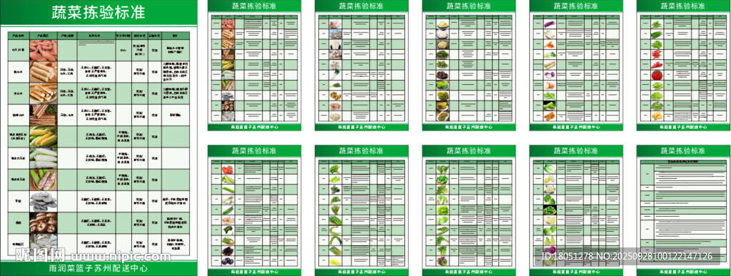 生鮮超市工廠蔬菜分揀標(biāo)準(zhǔn)