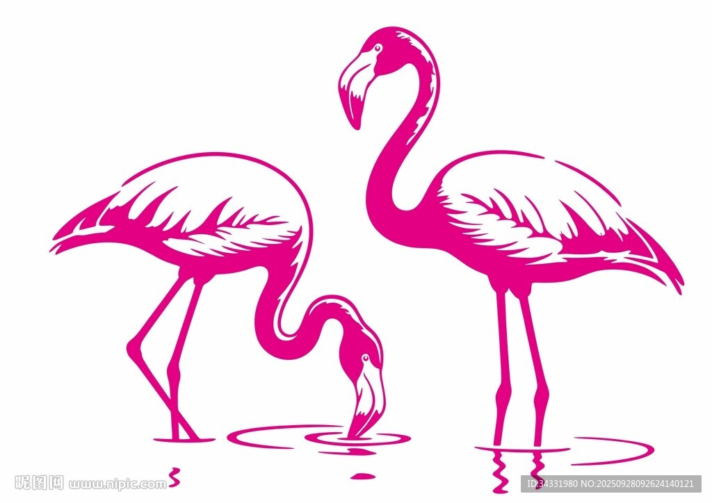 火烈鳥