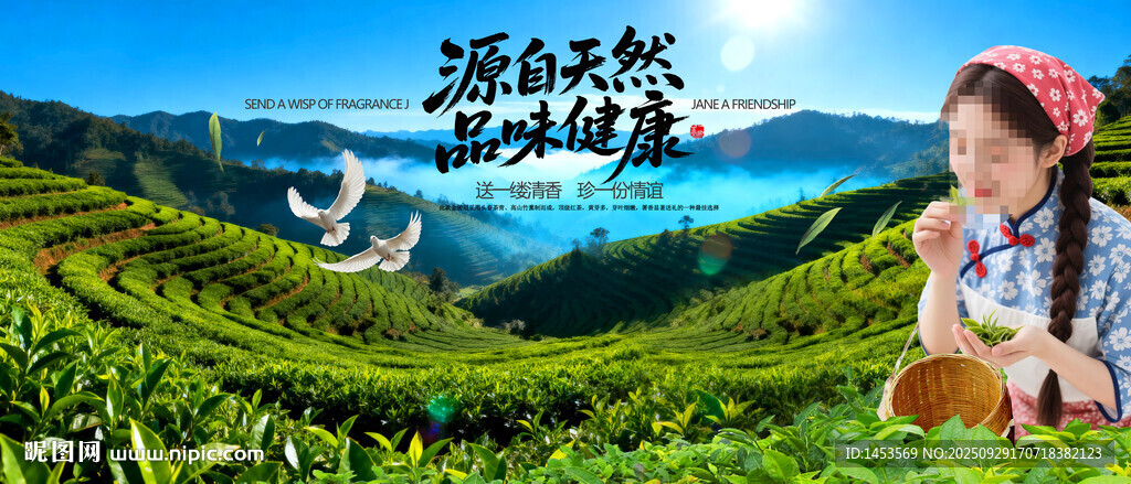 茶山